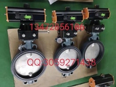 原装现货提供价格优惠EBRO 依博罗不锈钢球阀规格齐全图3