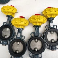 原装 德国依博罗EBRO动扇形蝶阀  价格优惠速发货