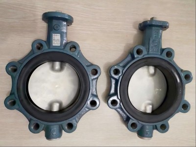 原装Z011-A型德国依博罗蝶阀 DN40-DN500规格齐全图2