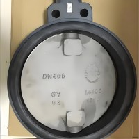 原装直销价格优惠德国Z011-A DN400依