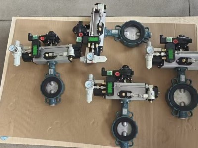 德国EBRO依博罗Z011-A动对夹式蝶阀