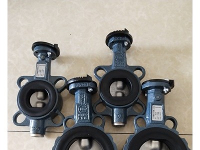 保证 德国依博罗EB-SYS 单作用动执行器规格齐全图4