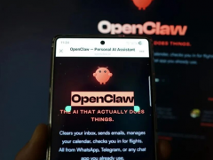 “养龙虾”是什么意思？