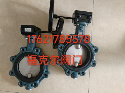 原装依博罗Z014-A型EBRO支耳式蝶阀