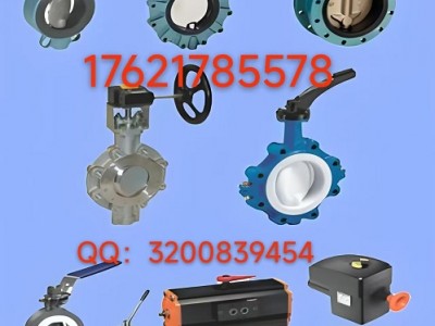 现货供应德国依博罗Z011-A型手动蝶阀图2