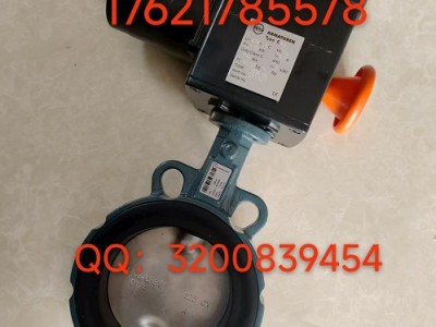 价格优惠德国EBRO中线动蝶阀Z011-A型