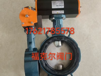 价格优惠德国EBRO中线动蝶阀Z011-A型图2