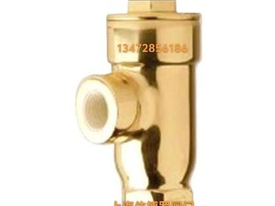 保证原装直销斯派莎克丝口FIG4/FIG5/FIG6过滤器