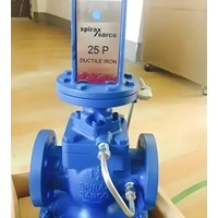 保证原装直销英国斯派莎克25P蒸汽减