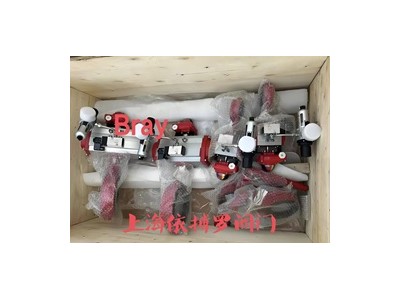 美国bray博雷 S20/S21对夹式蝶阀规格齐全速发货图4