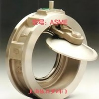 美国博雷(Bray)止回阀Check Rite规格