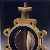 美国Bray博雷阀门S31U系列衬胶蝶阀规格齐全速发货