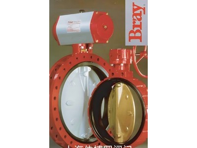 美国博雷(Bray)卫生级球阀规格齐全速发货图2