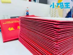 CSP-J/S难不难？孩子几岁开始学？这份科学规划请收好