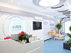 少儿AI编程机构哪家靠谱？资质、课程、服务三维度全面拆解