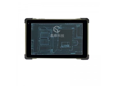 磊顺科技供应-10.1英寸加固平板(Intel® Celeron® Processor N5100)